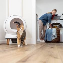 PetSafe® ScoopFree SmartSpin™ automatizirano mačje stranišče